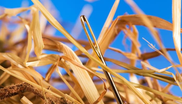 Photo of a needle in the middle of hay